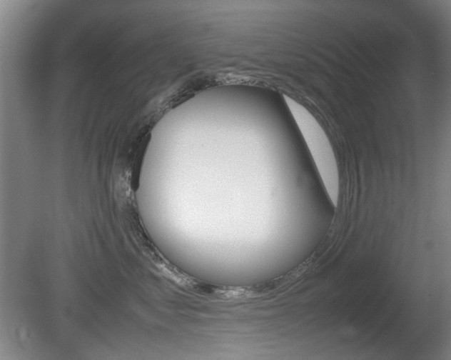 X0000080660621200612150737