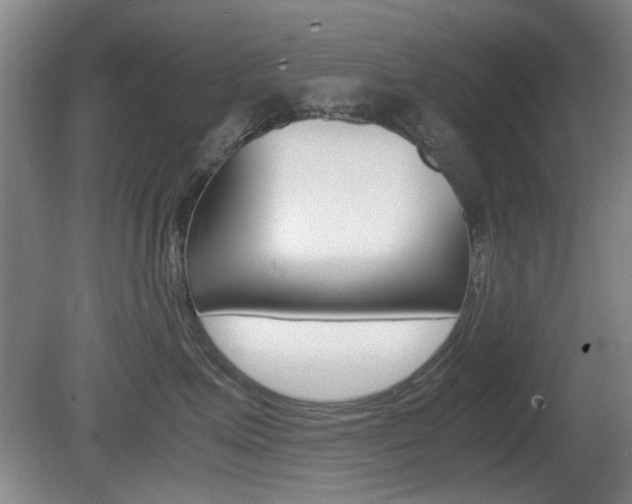 X0000080660623200612150737