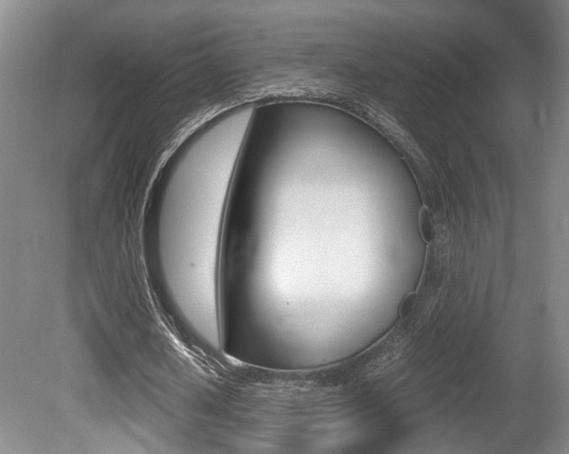 X0000080660626200612150736