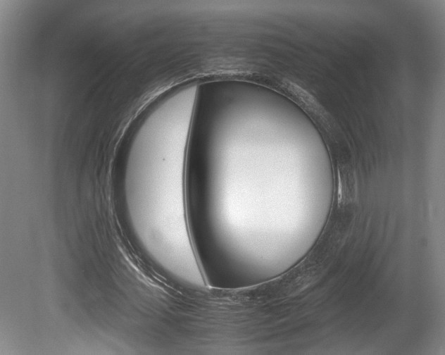 X0000080660627200612150736