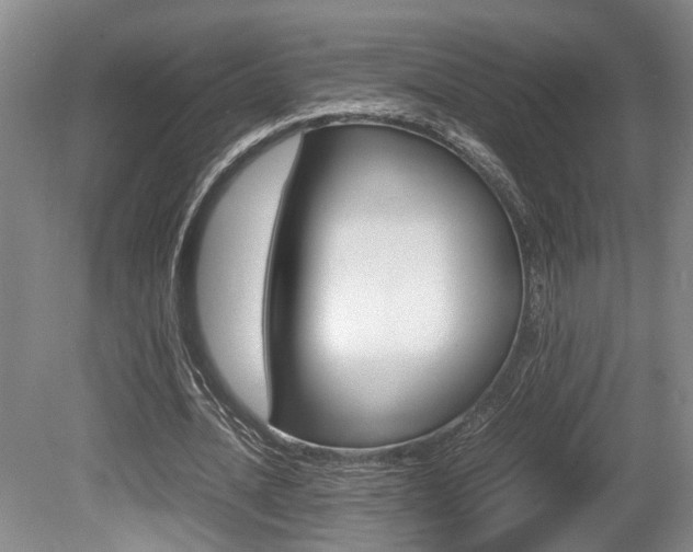 X0000080660628200612150736