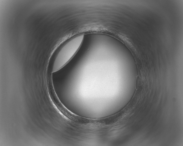 X0000080660630200612150736