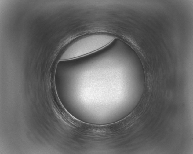 X0000080660631200612150736