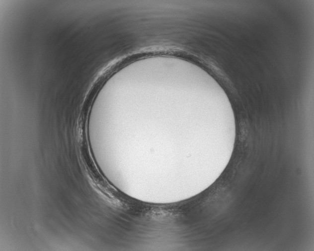 X0000080660632200612150736