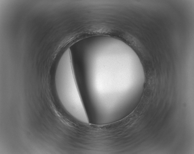 X0000080660635200612150736
