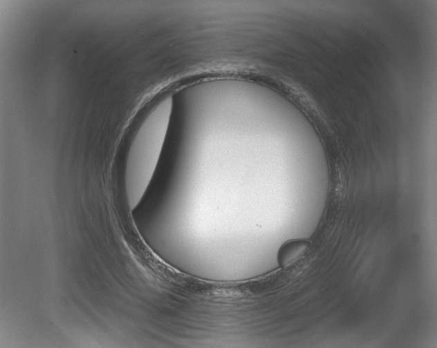 X0000080660636200612150736