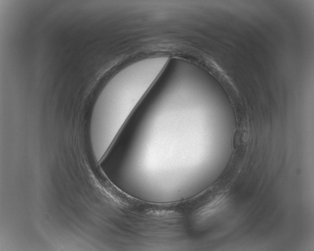 X0000080660637200612150736