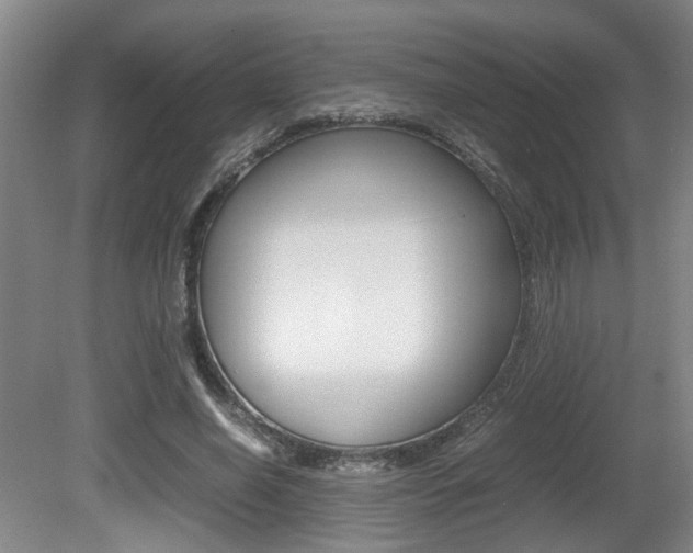 X0000080660638200612150736
