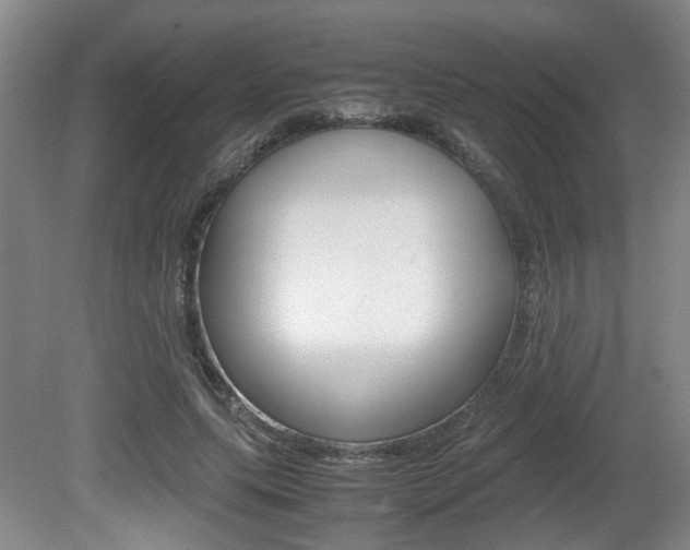 X0000080660639200612150736