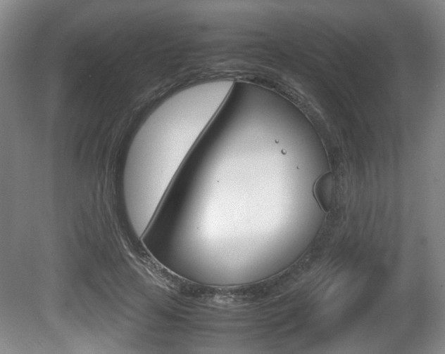 X0000080660641200612150736