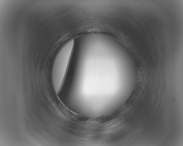 X0000080660648200612150736