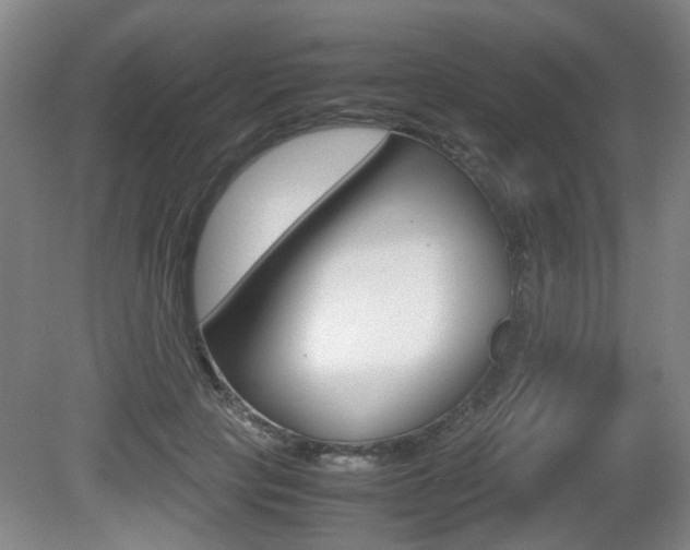 X0000080660649200612150736