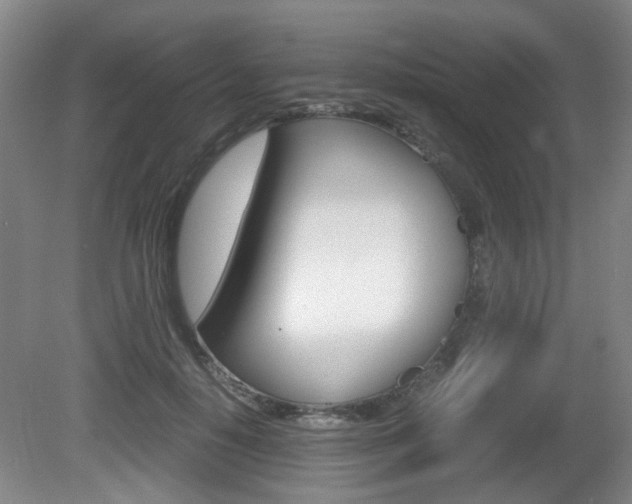 X0000080660650200612150736