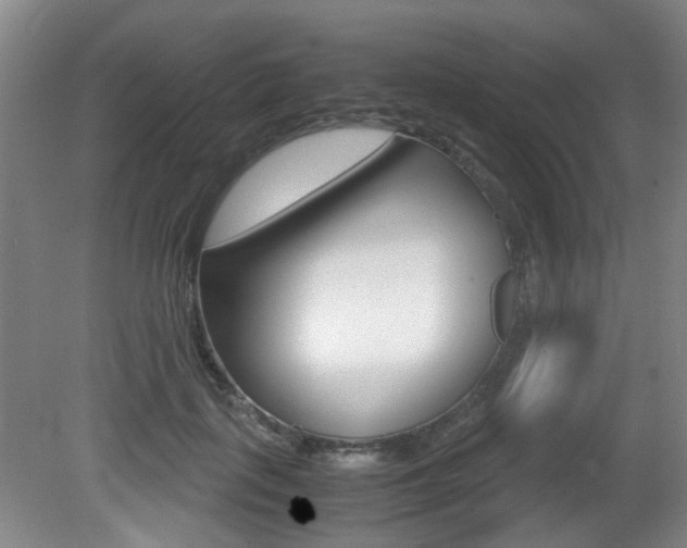 X0000080660651200612150736