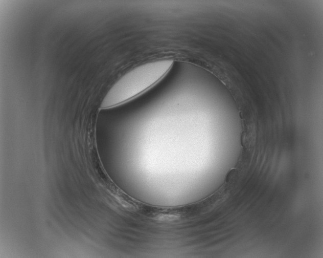 X0000080660653200612150736