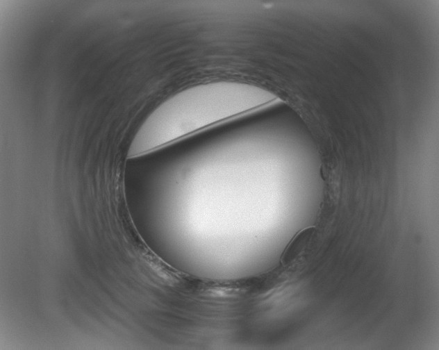 X0000080660657200612150736