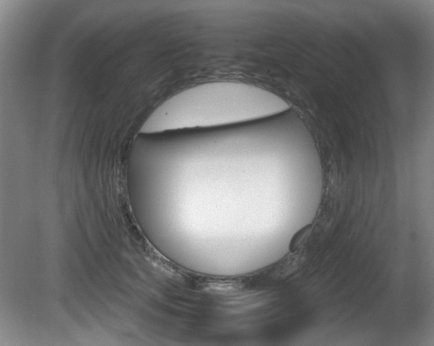 X0000080660659200612150736