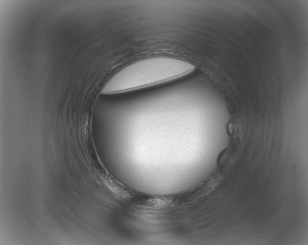 X0000080660660200612150736