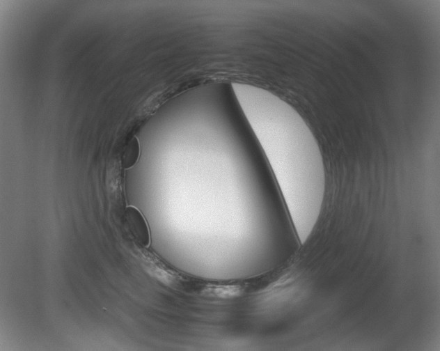 X0000080660665200612150736