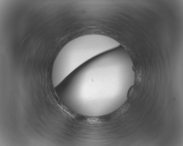 X0000080660666200612150736