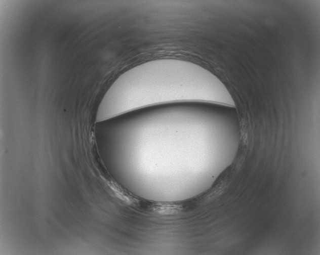 X0000080660670200612150737