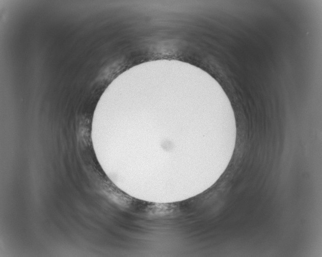 X0000080660672200612150737