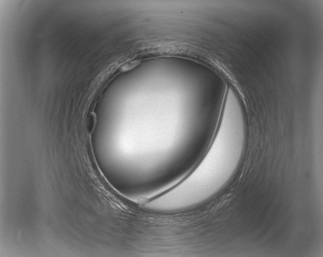 X0000080660673200612150736