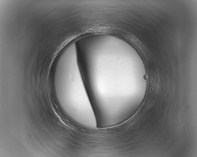 X0000080660674200612150736