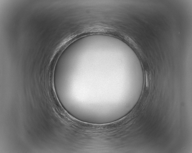 X0000080660675200612150736