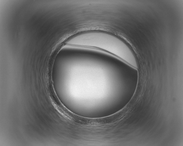 X0000080660677200612150736