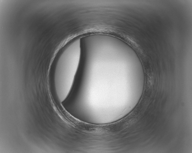 X0000080660678200612150736