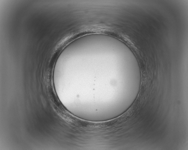 X0000080660679200612150736