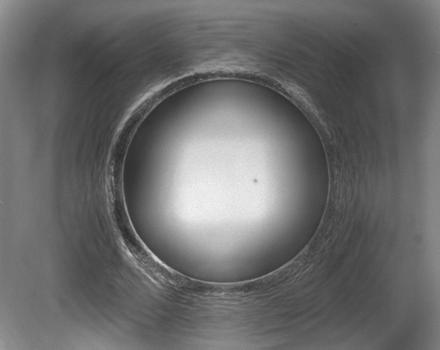 X0000080660680200612150736