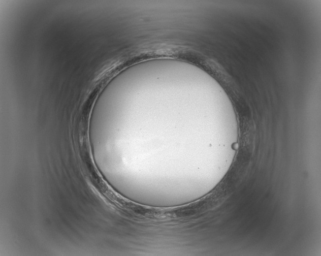 X0000080660683200612150736