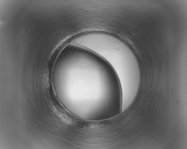 X0000080660684200612150736