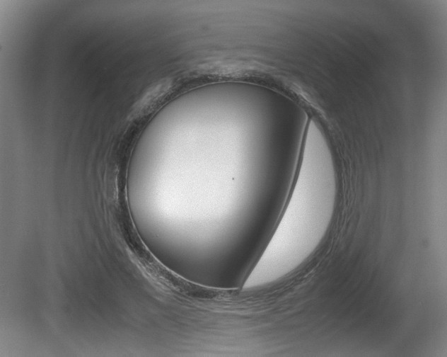 X0000080660685200612150736