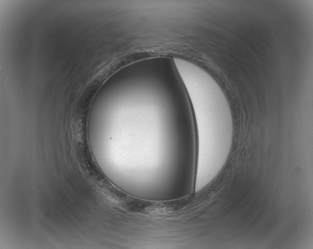 X0000080660689200612150736