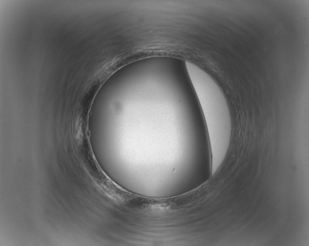 X0000080660692200612150735