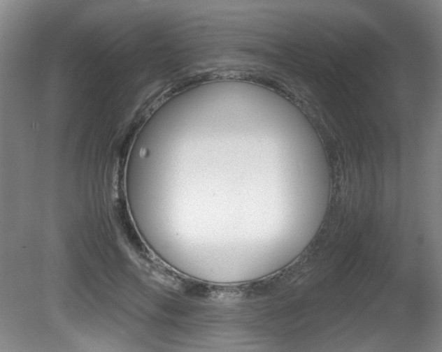 X0000080660694200612150735