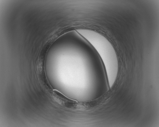 X0000080660697200612150735