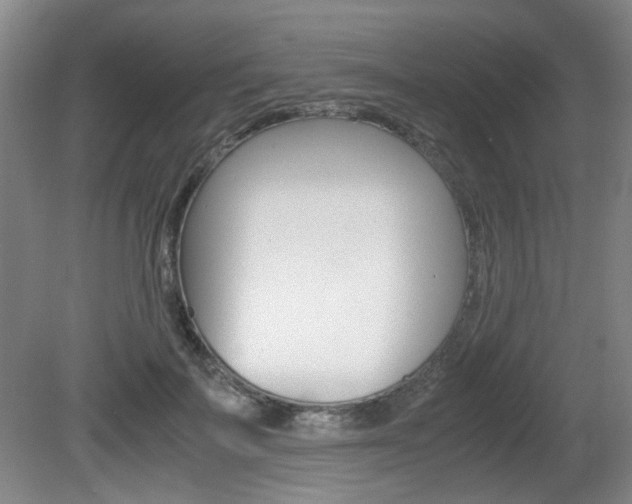 X0000080660699200612150735