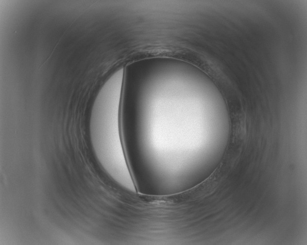 X0000080660700200612150735