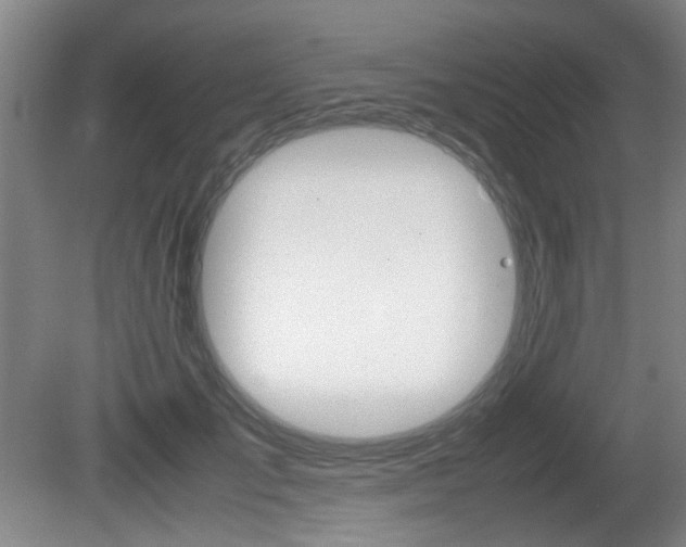 X0000080660701200612150735