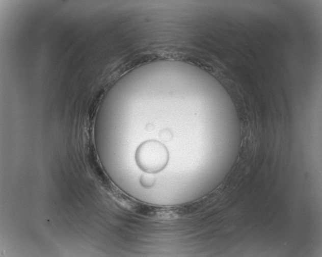 X0000080660702200612150735