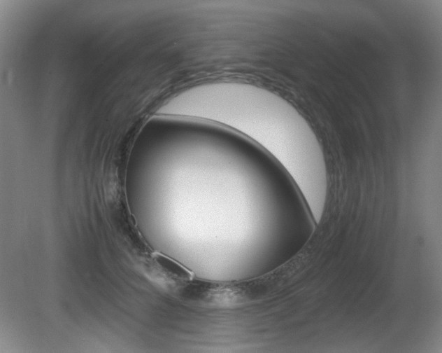 X0000080660704200612150735