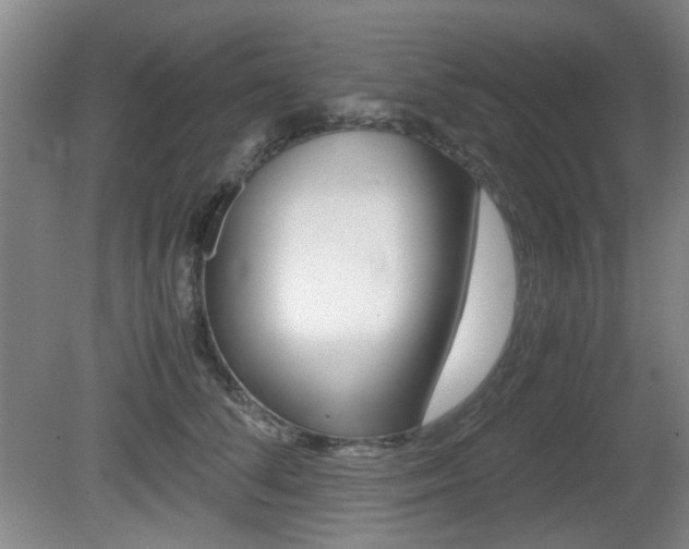 X0000080660708200612150735