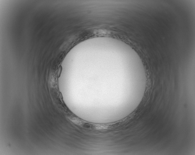 X0000080660709200612150735