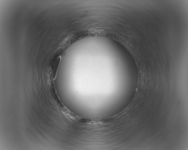 X0000080660712200612150735