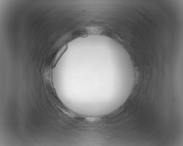 X0000080660713200612150735