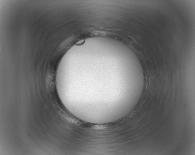 X0000080660714200612150735